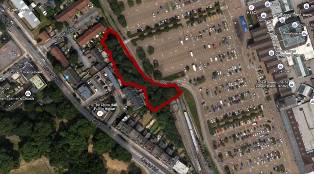 The trees at risk are outlined in red in this Google Earth image (copyright Google)